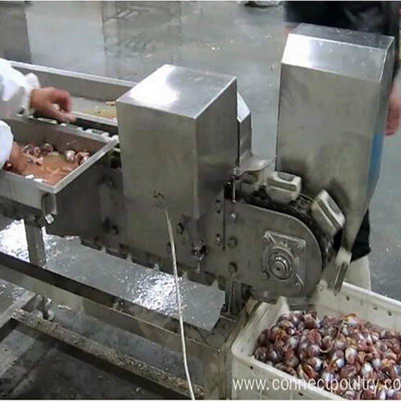 New Condition Poultry Application halal chicken gizzards cutter machine for chicken farm use