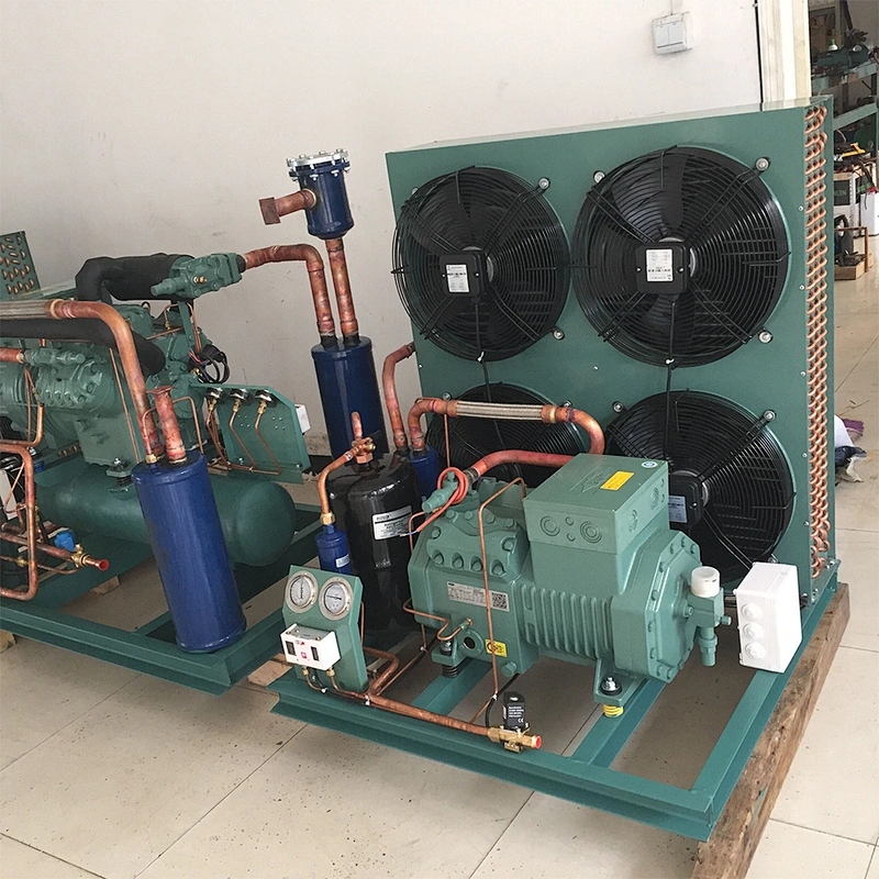 industrial Large capacity ice manufacturing plant large ice flaker producer refrigerator