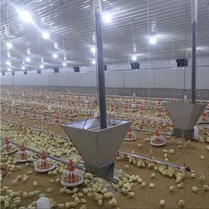 Feeding line and Drinking line for broiler chicken house equipment