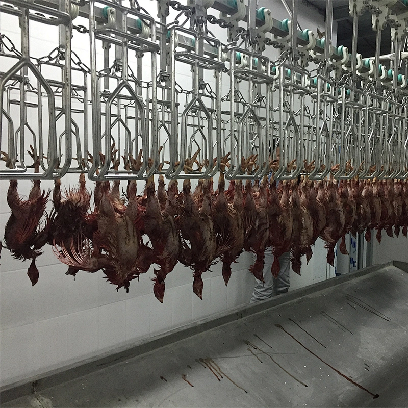 poultry slaughterhouse machine for chicken