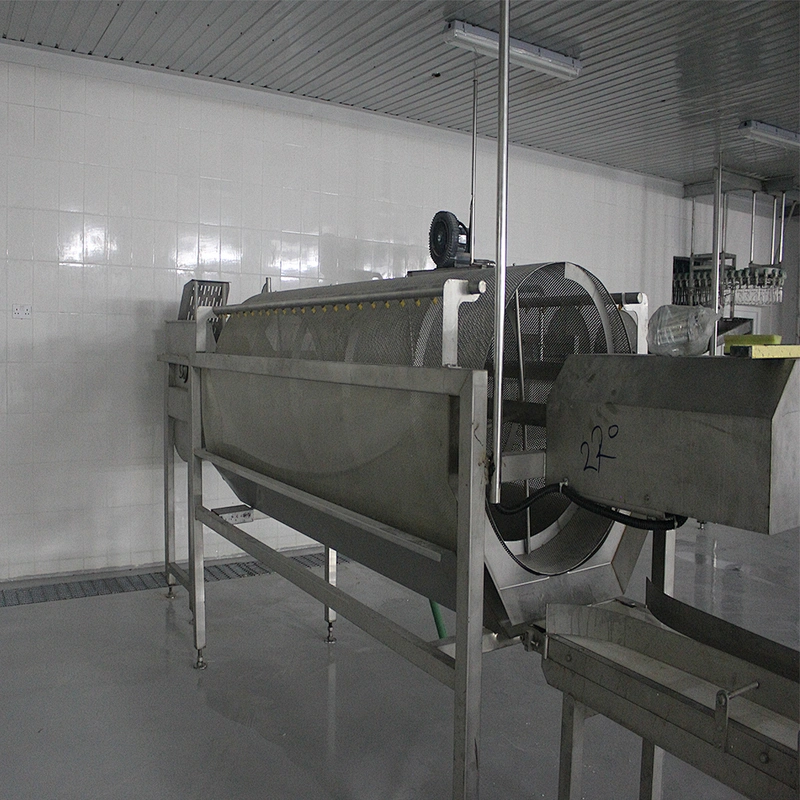 Customized Complete chicen farm turnkey project slaughterhouse processing plant feather and water sperator machinery
