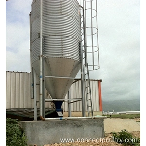 Feed Silo for Chicken house shed feeding equipment