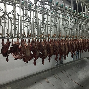 poultry slaughter equipment