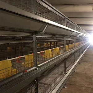 Layer Cage system for poultry farm