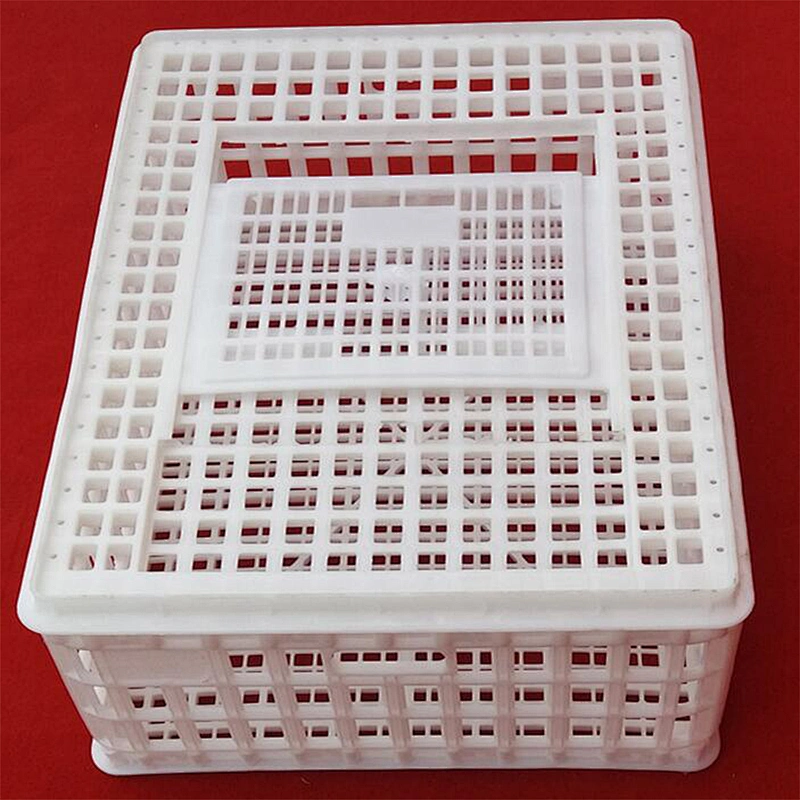 high quality Automatic poultry Slaughter house live birds crates for broiler farm use