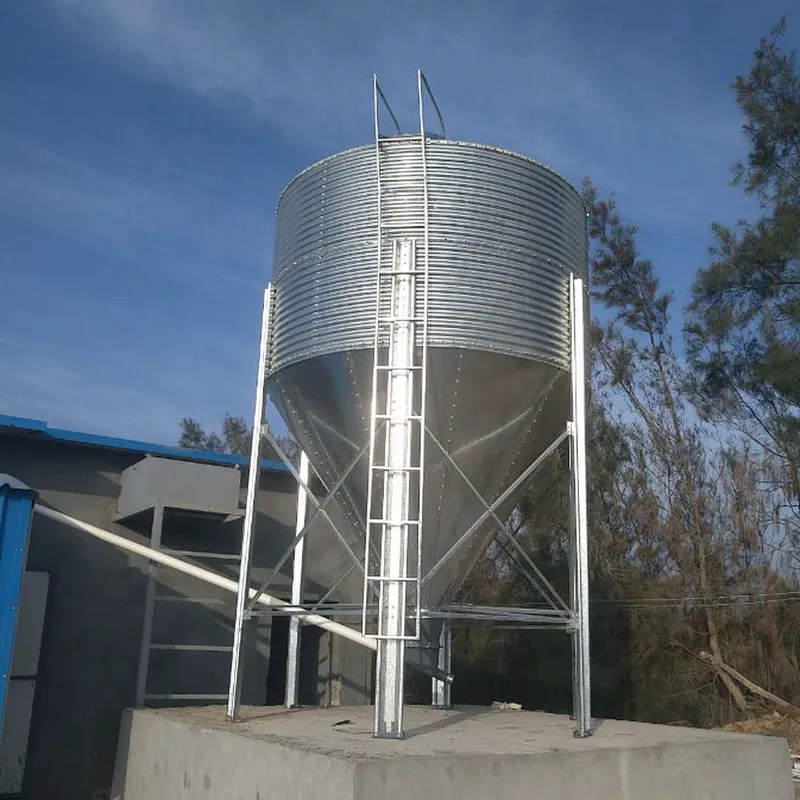 Automatic broiler feeding and drinking system poultry house shed equipment