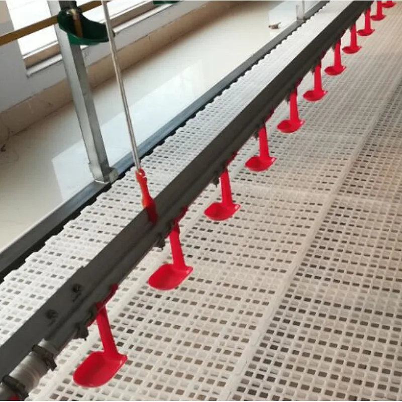 Chicken Shed  Automatic Nipple Drinking System