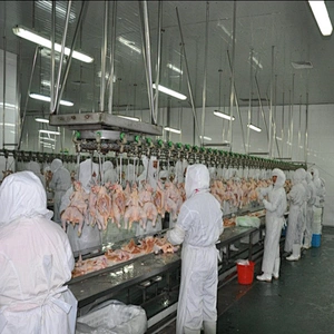 poultry slaughterhouse machine