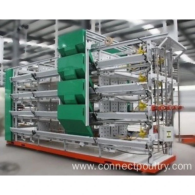 Battery Cage Pullets Rearing Equipment for chicken house shed of poultry farm