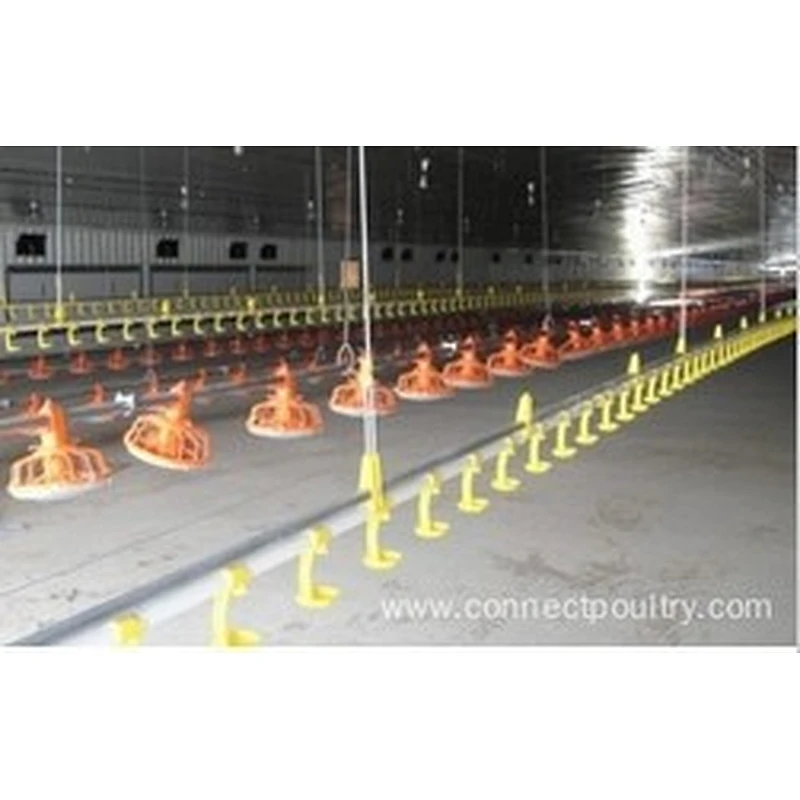Automated poultry farm NIPPLE DRINKING SYSTEM