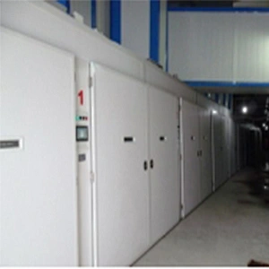 commercial multi-stage bird chicken egg incubator automatic hatchery egg Incubator for sale