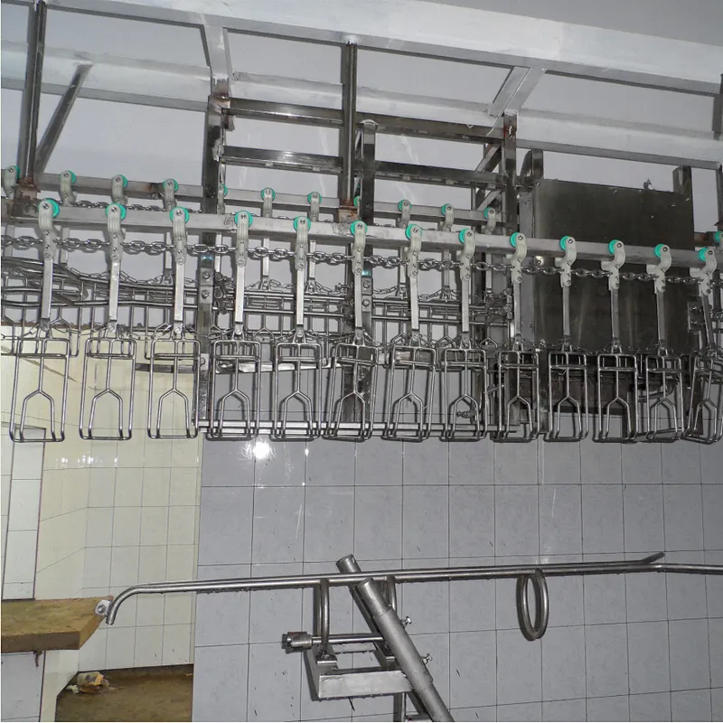500BPH 1000BPH Semi-Auto  Complete Chicken Abattoir equipment for slaughter house