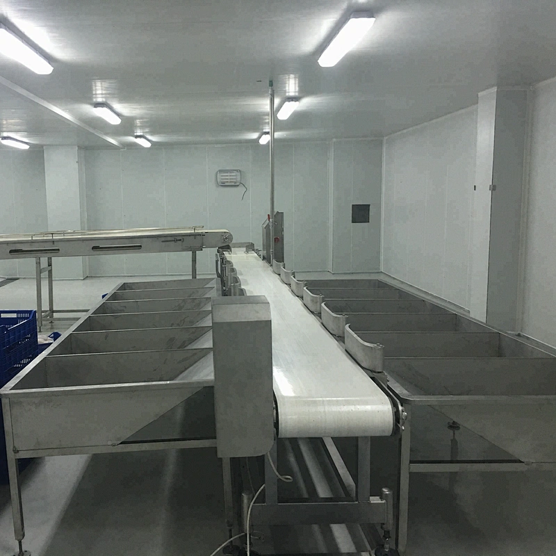 Low Price Weighing & Grading Equipment for poultry processing plant for automatic chicken slaughtering machine
