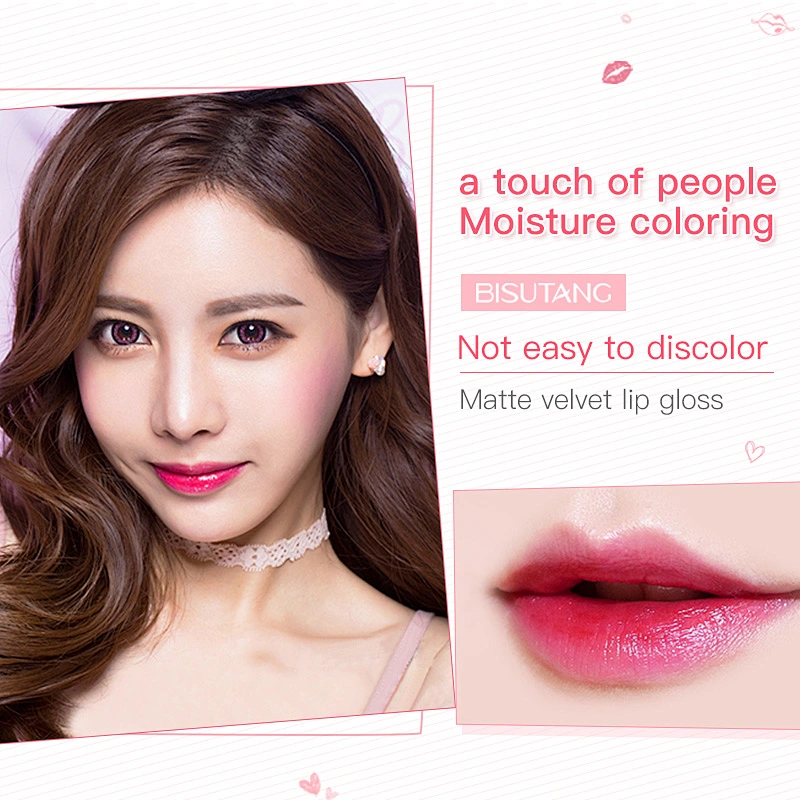 Lip Gloss Vendor Wholesale Private Label Lip gloss Velvet Matte Lipgloss