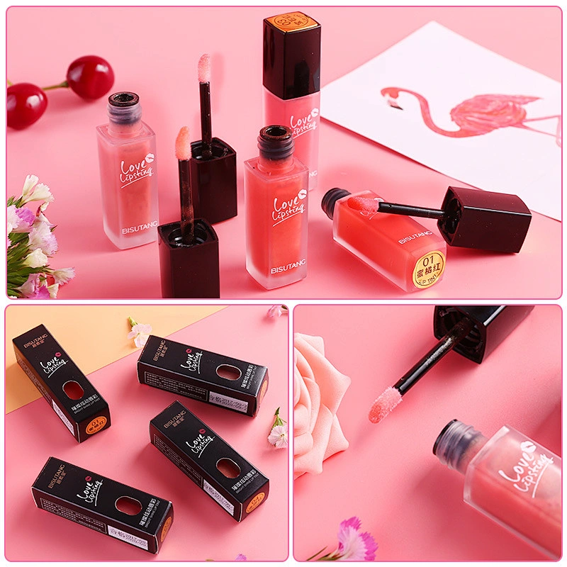 OEM ODM OBM cosmetic beauty product many colors lip gloss private label with tube package