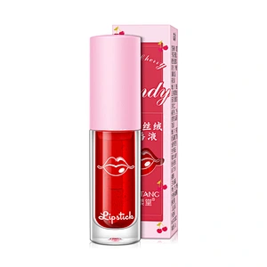 Lip Gloss Vendor Wholesale Private Label Lip gloss Velvet Matte Lipgloss