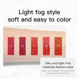 OEM FDA High Quality Private Label Waterproof Matte Lipstick