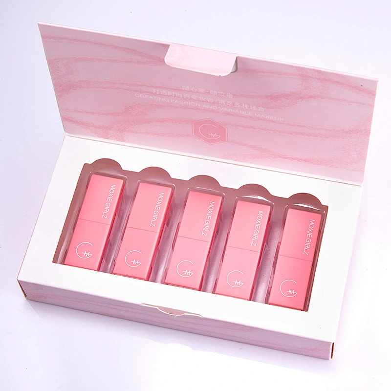 High Quality Private Label Long Lasting Waterproof Mini Makeup Lipstick Gift Set