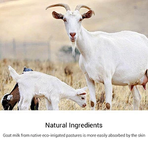OEM Acne Treatment Sea Salt Soap Whitening Natural Organic Goat Milk Soap Face Care Wash Basis Soap