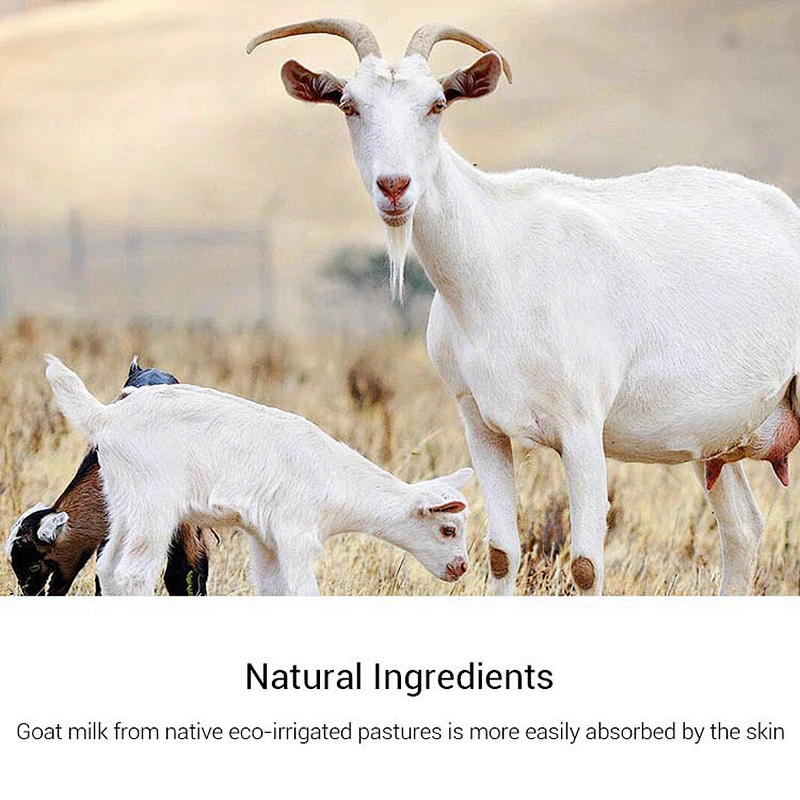 OEM Acne Treatment Sea Salt Soap Whitening Natural Organic Goat Milk Soap Face Care Wash Basis Soap
