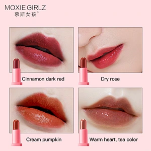 High Quality Private Label Long Lasting Waterproof Mini Makeup Lipstick Gift Set