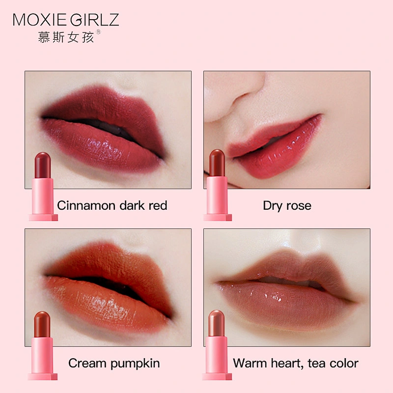 High Quality Private Label Long Lasting Waterproof Mini Makeup Lipstick Gift Set