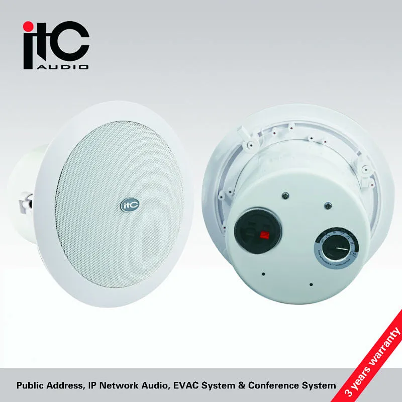 Excellent Sound Quality Two Way Coaxial 10W Inceiling Speaker