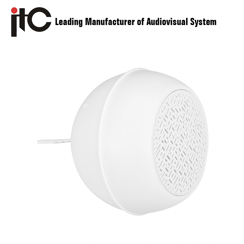 ITC T-200 PA Unique Ball Design 5'' 6W Pendant Speaker