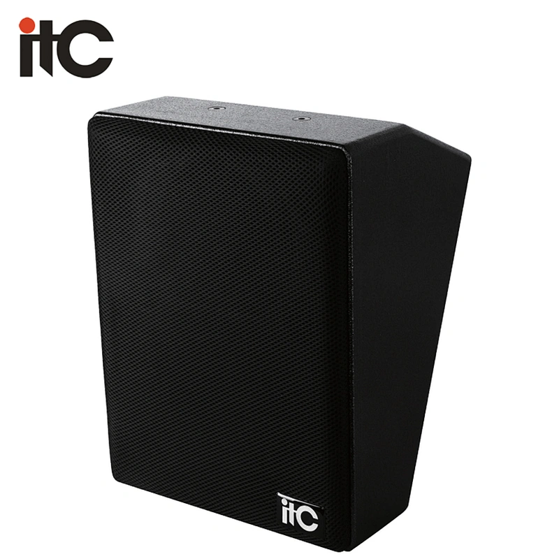 TS-606M Professional Speakers Audio Speaker Conference Room