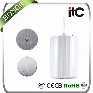 Professional pendant speakers