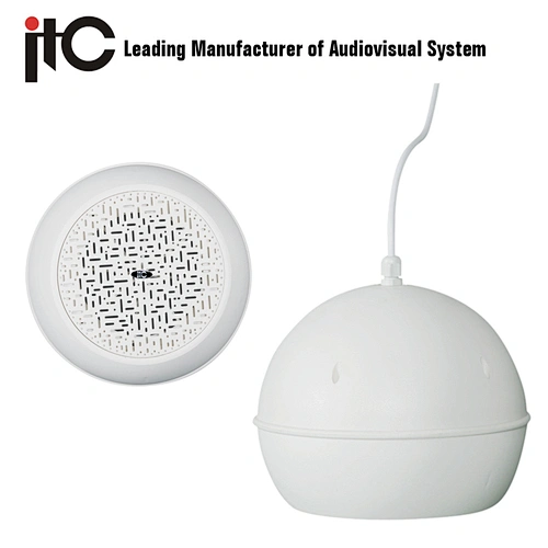 ITC T-200 PA Unique Ball Design 5'' 6W Pendant Speaker