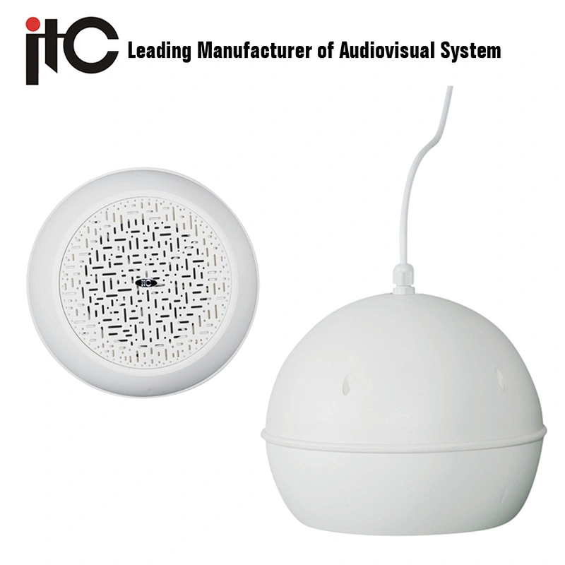ITC T-200 PA Unique Ball Design 5'' 6W Pendant Speaker