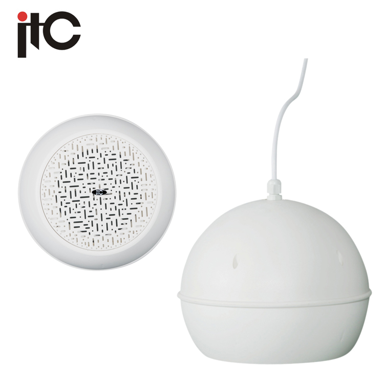 Pendant Speaker
