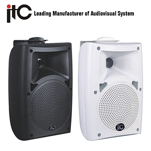 ITC T-776S/T-776SW 60W 100V 2.0 Stereo Wall Speaker Box