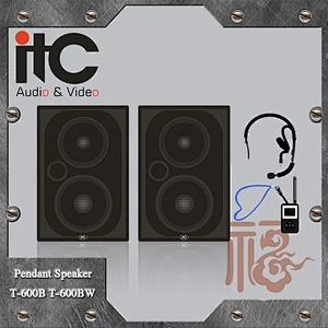 ITC T-210BM 10W 2.4G Multimedia Active Radio Speaker With Wireless Microphone
