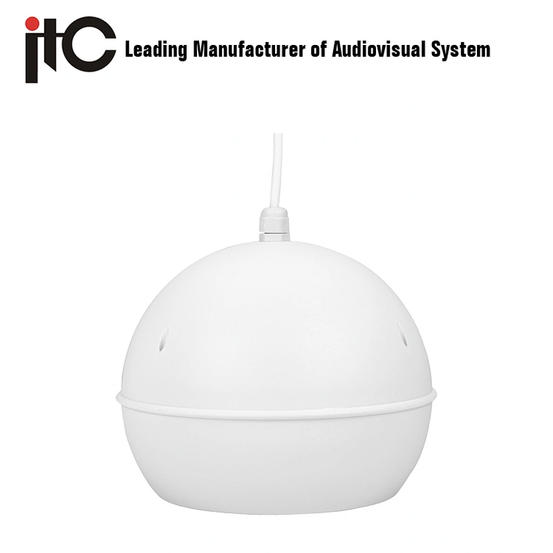 ITC T-200 PA Unique Ball Design 5'' 6W Pendant Speaker