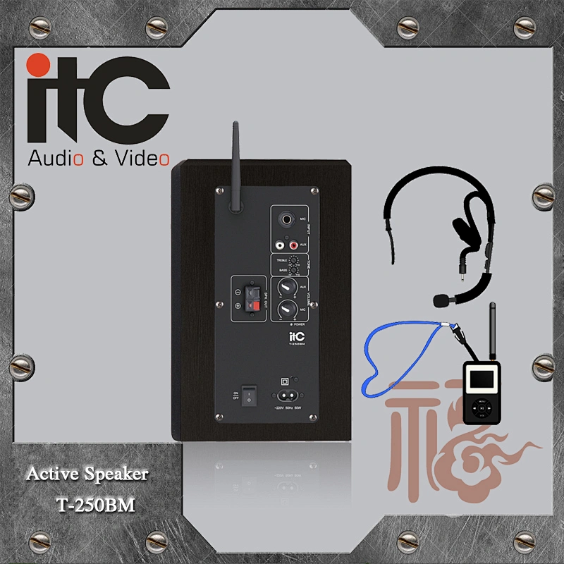 ITC T-250BM 25W x2 4ohm HDCD Wireless Radio 2.4G Active PA Speaker with Mic