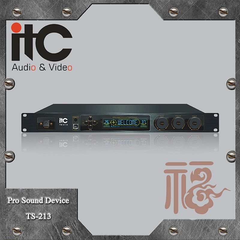 ITC TS-213 Intelligent and Strongly Functional Professional KTV Pre-effects Processor