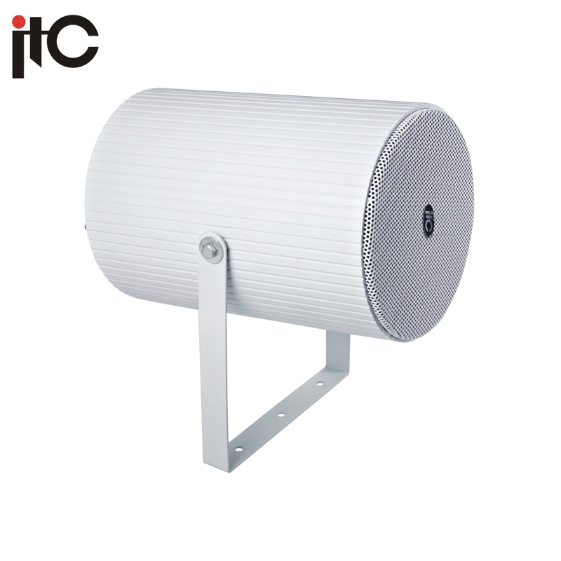 Projection Speaker