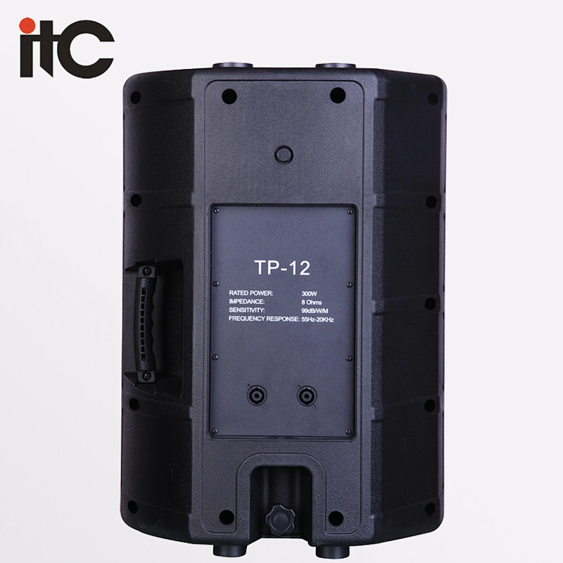 TP-10 High Quality Sound System Outdoor Plastic Portable Waterproof Speaker