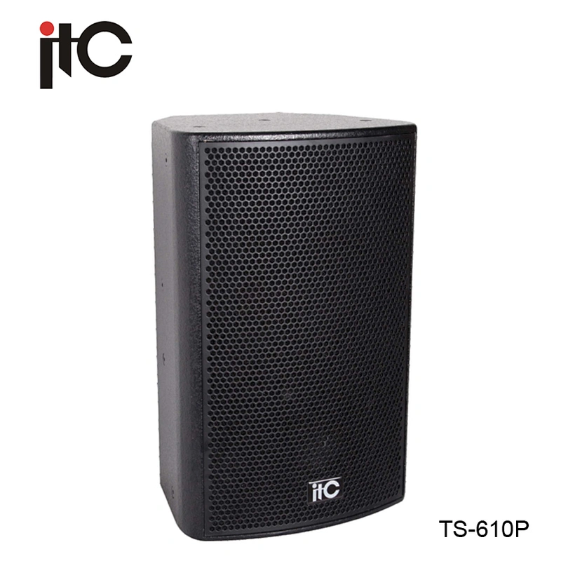Newest 300W Professional Sound System Multiroom Audio System