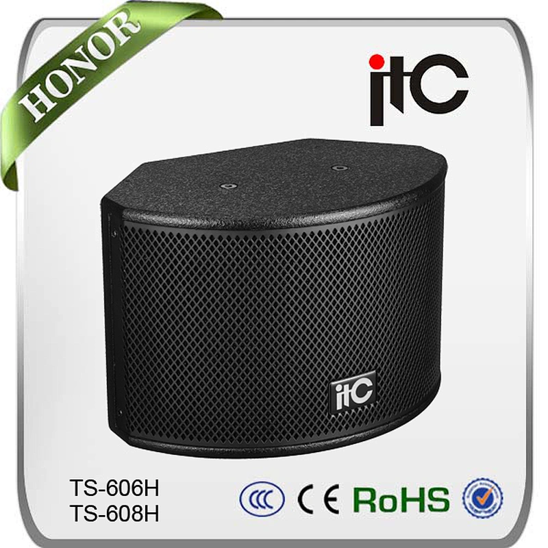 TS-606H Special Design Indoor 120W Professional Conference Speaker