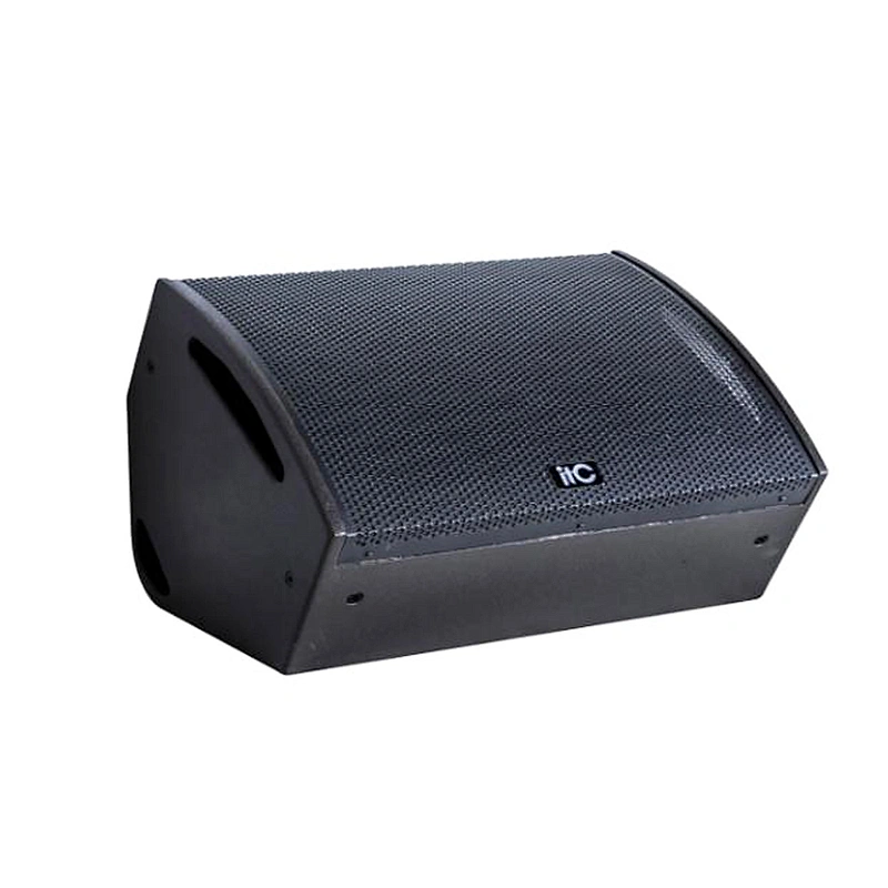TW-10 Plywood 300W Professional Loudspeaker Outdoor Waterproof Speaker
