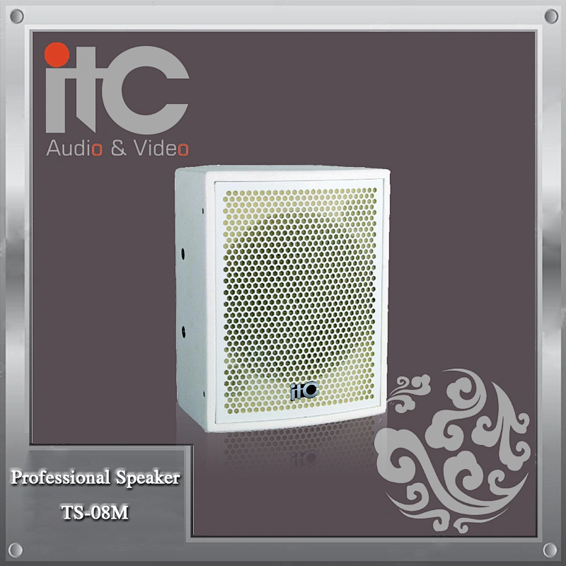ITC TS-08M 250W 8ohm Wear-resistance Professional Conference Room Speaker