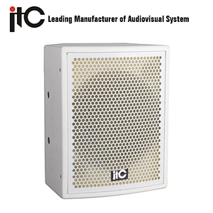 ITC TS-08M 250W 8ohm Wear-resistance Professional Conference Room Speaker
