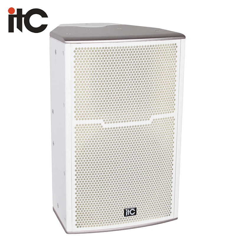 TM-10 300W Professional Entertainment Night Club used Sound System Speakers