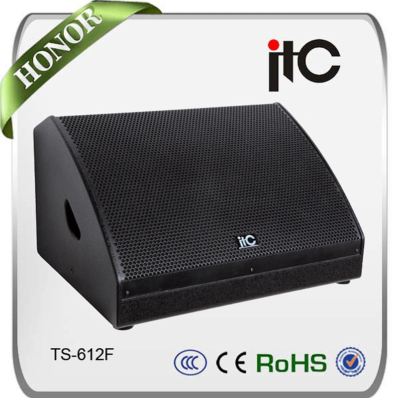 TW-10 Plywood 300W Professional Loudspeaker Outdoor Waterproof Speaker