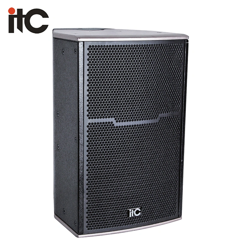 TM-10 300W Professional Entertainment Night Club used Sound System Speakers