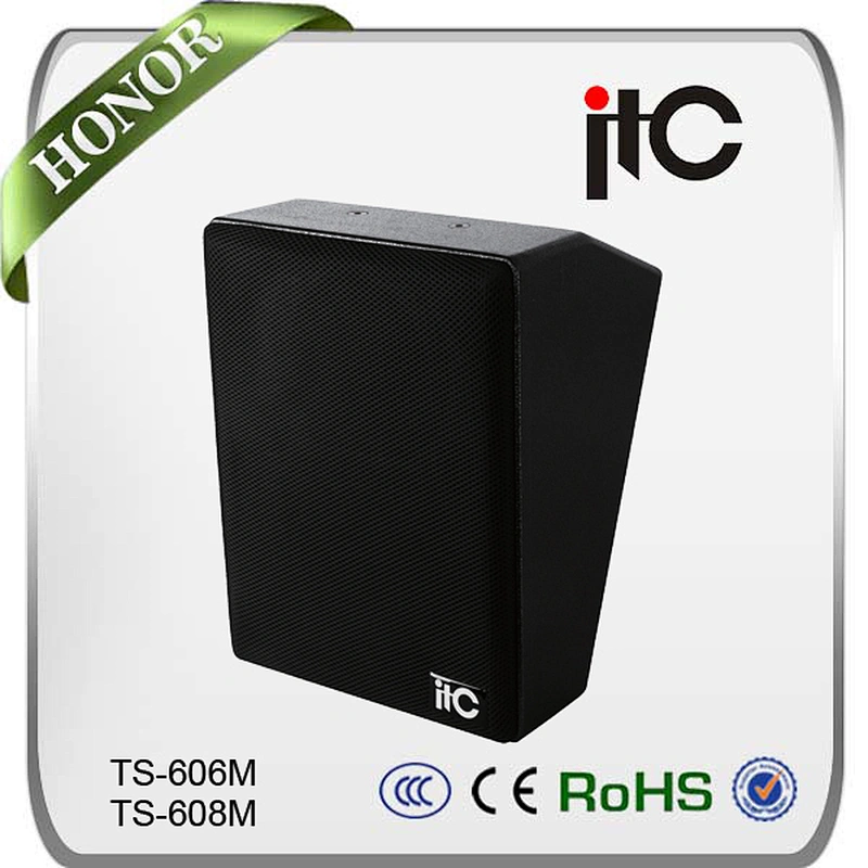 TS-606M 120W Indoor Sound System Speaker Stand Conference Room Speakers