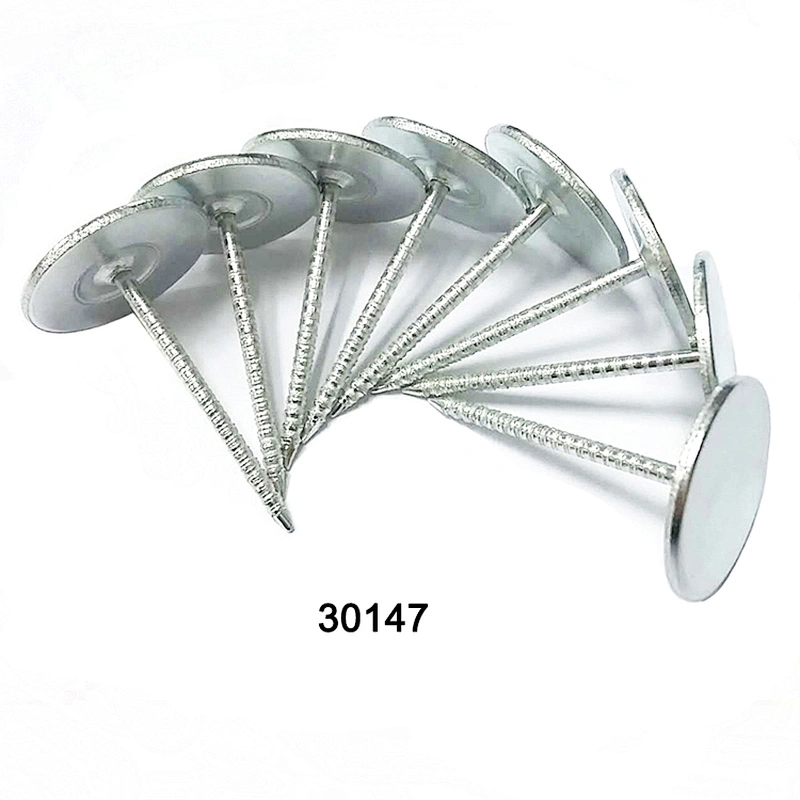 Flat head solid iron sofa nail 30147